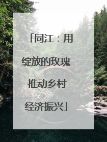 同江：用绽放的玫瑰 推动乡村经济振兴