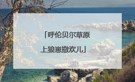 呼伦贝尔草原上狼崽撒欢儿