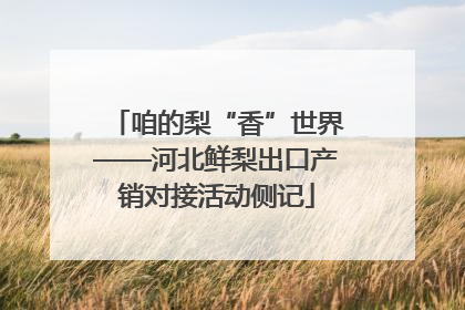咱的梨“香”世界——河北鲜梨出口产销对接活动侧记