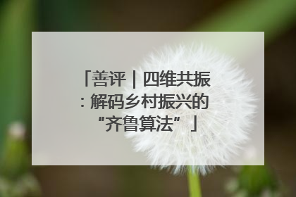 善评｜四维共振：解码乡村振兴的“齐鲁算法”