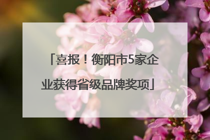 喜报！衡阳市5家企业获得省级品牌奖项