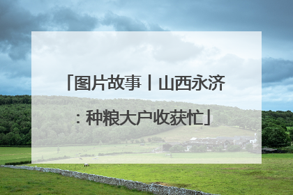 图片故事丨山西永济：种粮大户收获忙