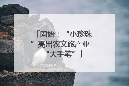 固始：“小珍珠”亮出农文旅产业“大手笔”