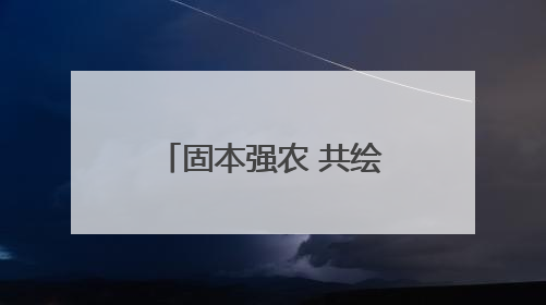 固本强农 共绘新景 ︳卫辉市南社村：蔬菜村的“链”动力