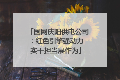 国网庆阳供电公司：红色引擎强动力 实干担当展作为