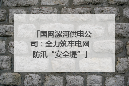 国网漯河供电公司：全力筑牢电网防汛“安全堤”