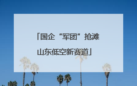 国企“军团”抢滩山东低空新赛道