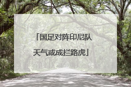 国足对阵印尼队 天气或成拦路虎