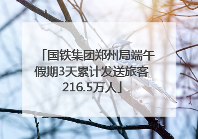国铁集团郑州局端午假期3天累计发送旅客216.5万人