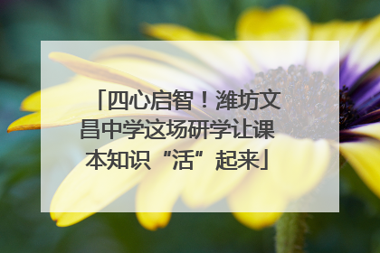 四心启智！潍坊文昌中学这场研学让课本知识“活”起来