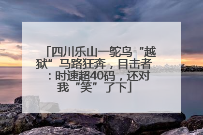 四川乐山一鸵鸟“越狱”马路狂奔，目击者：时速超40码，还对我“笑”了下