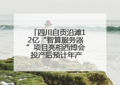 四川自贡沿滩12亿“智算服务器”项目亮相西博会 投产后预计年产值达15亿元
