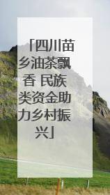 四川苗乡油茶飘香 民族类资金助力乡村振兴