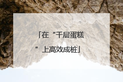 在“千层蛋糕”上高效成桩