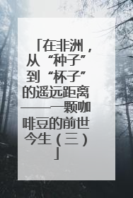 在非洲，从“种子”到“杯子”的遥远距离——一颗咖啡豆的前世今生（三）