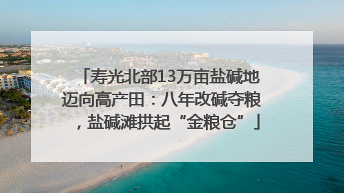 寿光北部13万亩盐碱地迈向高产田：八年改碱夺粮，盐碱滩拱起“金粮仓”