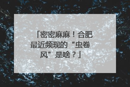 密密麻麻！合肥最近频现的“虫卷风”是啥？