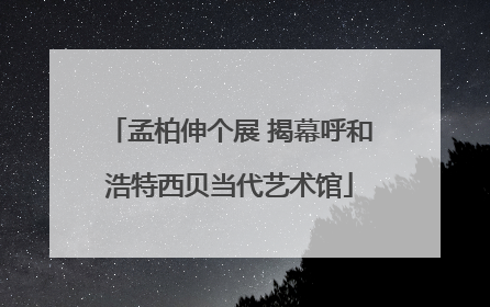 孟柏伸个展 揭幕呼和浩特西贝当代艺术馆