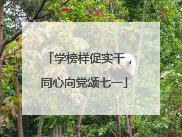 学榜样促实干，同心向党颂七一