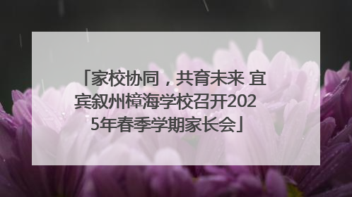家校协同，共育未来 宜宾叙州樟海学校召开2025年春季学期家长会