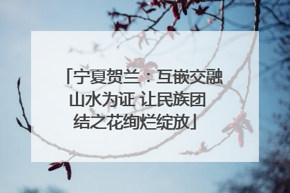 宁夏贺兰：互嵌交融 山水为证 让民族团结之花绚烂绽放