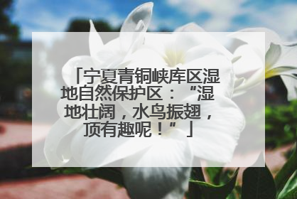宁夏青铜峡库区湿地自然保护区：“湿地壮阔，水鸟振翅，顶有趣呢！”