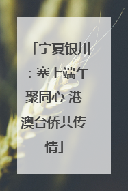 宁夏银川：塞上端午聚同心 港澳台侨共传情