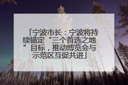 宁波市长：宁波将持续锚定“三个首选之地”目标，推动博览会与示范区互促共进