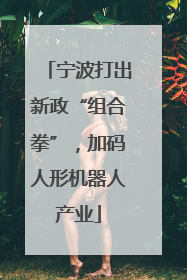 宁波打出新政“组合拳”，加码人形机器人产业