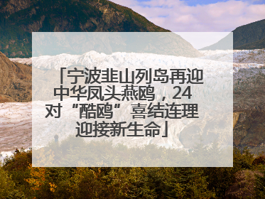宁波韭山列岛再迎中华凤头燕鸥，24对“酷鸥”喜结连理迎接新生命