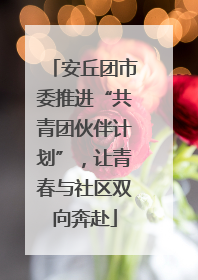 安丘团市委推进“共青团伙伴计划”，让青春与社区双向奔赴