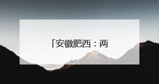安徽肥西：两位上海人“链上”肥西的背后