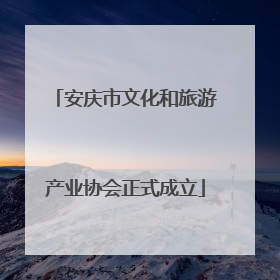 安庆市文化和旅游产业协会正式成立