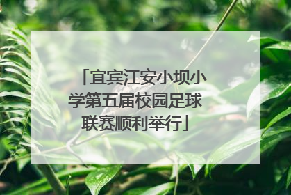 宜宾江安小坝小学第五届校园足球联赛顺利举行