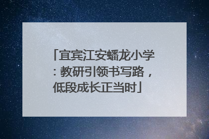 宜宾江安蟠龙小学：教研引领书写路，低段成长正当时