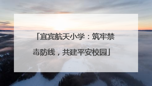 宜宾航天小学：筑牢禁毒防线，共建平安校园