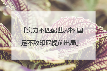 实力不匹配世界杯 国足不敌印尼提前出局