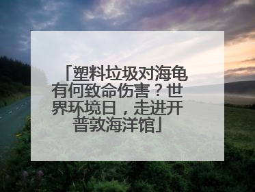 塑料垃圾对海龟有何致命伤害？世界环境日，走进开普敦海洋馆
