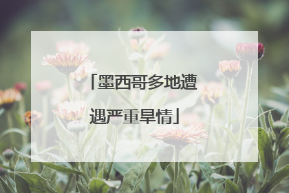 墨西哥多地遭遇严重旱情