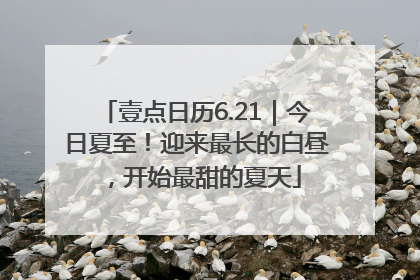 壹点日历6.21｜今日夏至！迎来最长的白昼，开始最甜的夏天