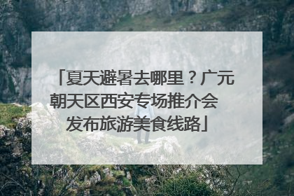 夏天避暑去哪里？广元朝天区西安专场推介会 发布旅游美食线路
