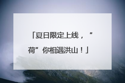 夏日限定上线，“荷”你相遇洪山！