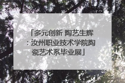 多元创新 陶艺生辉：汝州职业技术学院陶瓷艺术系毕业展