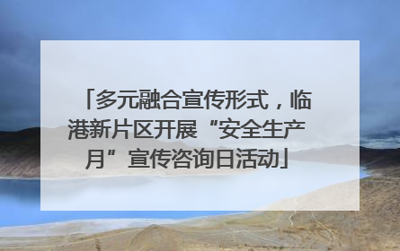 多元融合宣传形式，临港新片区开展“安全生产月”宣传咨询日活动