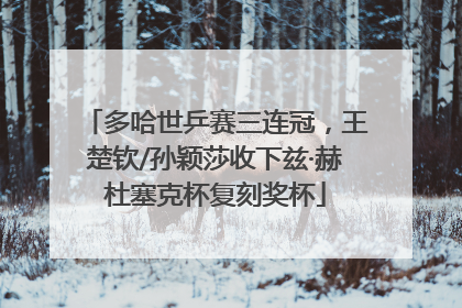 多哈世乒赛三连冠，王楚钦/孙颖莎收下兹·赫杜塞克杯复刻奖杯