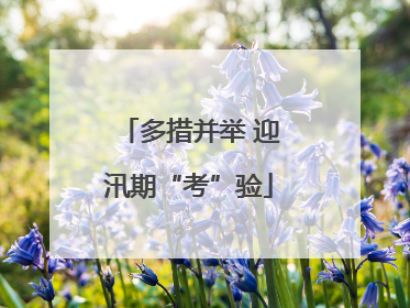 多措并举 迎汛期“考”验