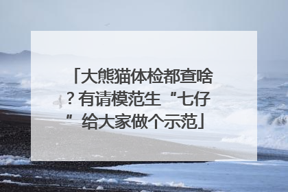 大熊猫体检都查啥？有请模范生“七仔”给大家做个示范