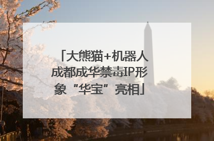 大熊猫+机器人 成都成华禁毒IP形象“华宝”亮相