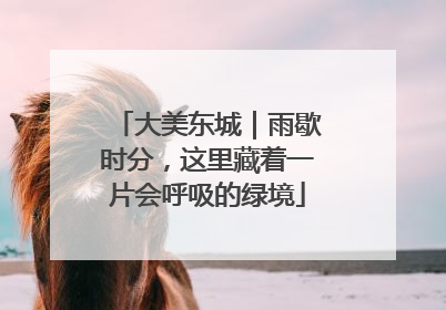 大美东城｜雨歇时分，这里藏着一片会呼吸的绿境