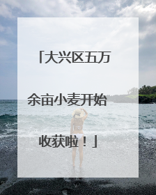 大兴区五万余亩小麦开始收获啦！